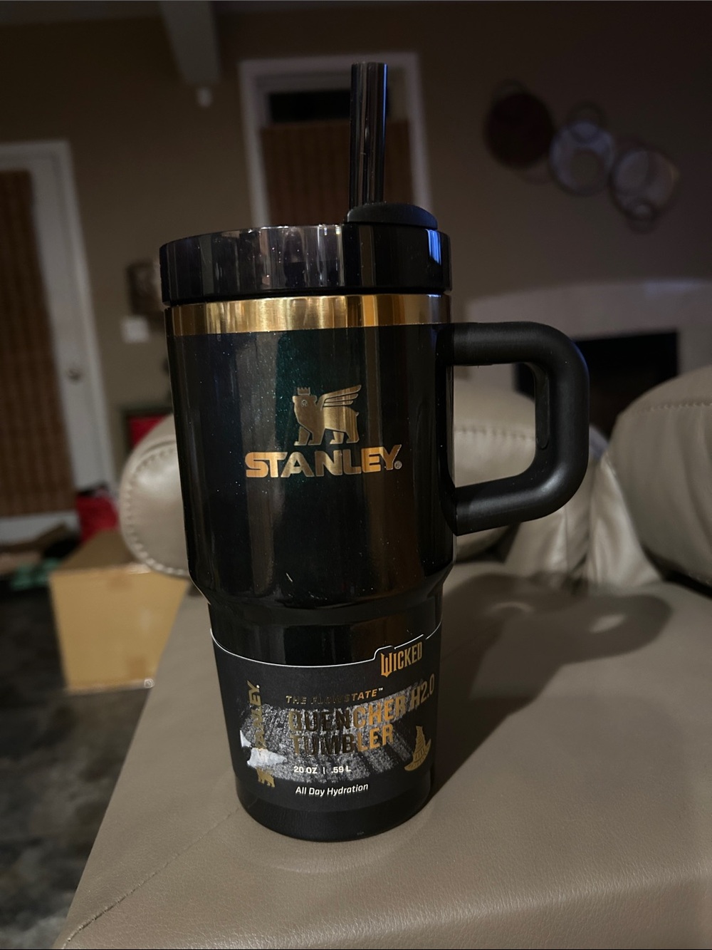 Stanley x Wicked 20oz FlowState Quencher Tumbler Elphaba For Good IN HAND